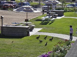 Marina Riviera Big Bear Lake